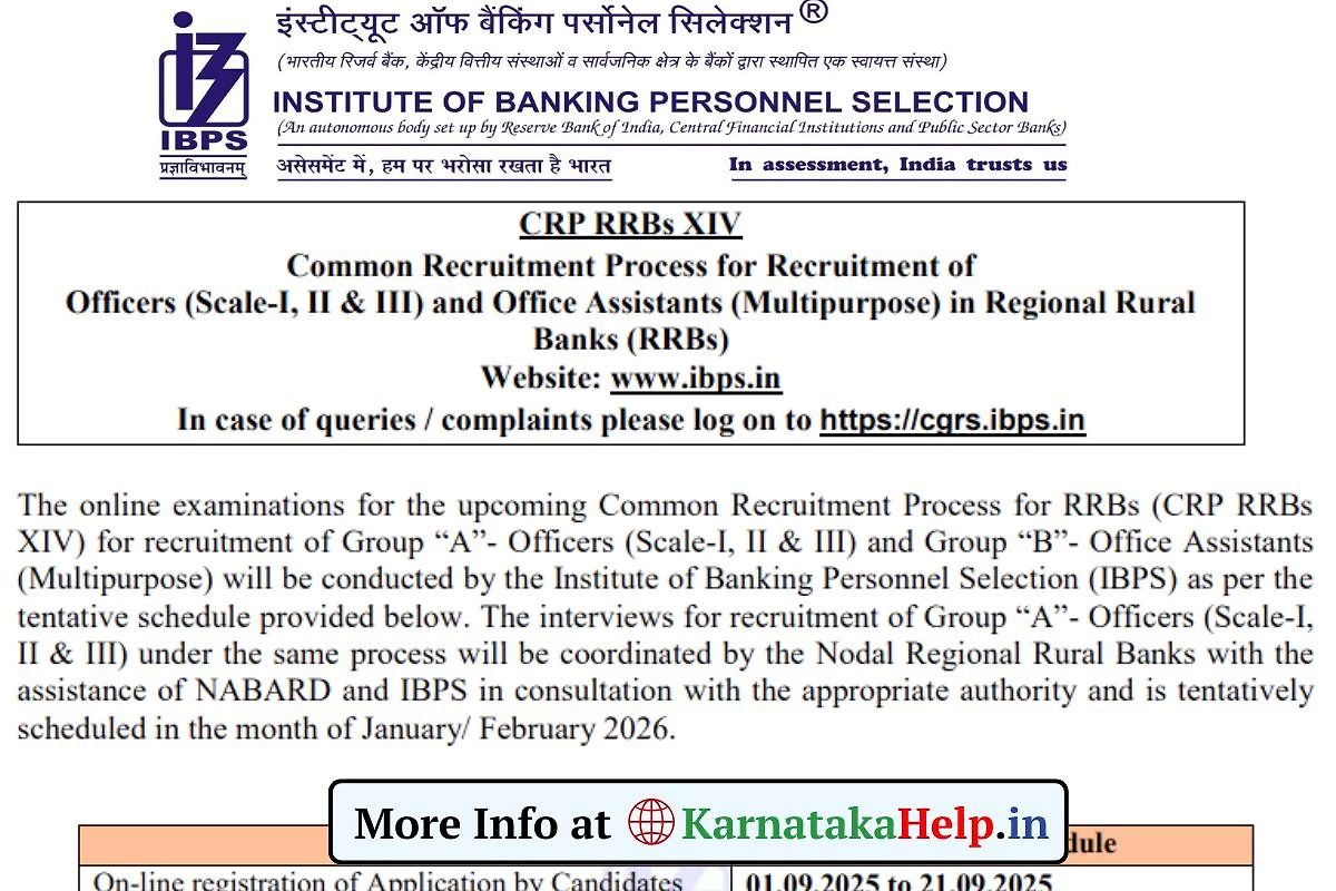 Ibps Rrb Officers And Office Assistants Recruitment 2025 Notification