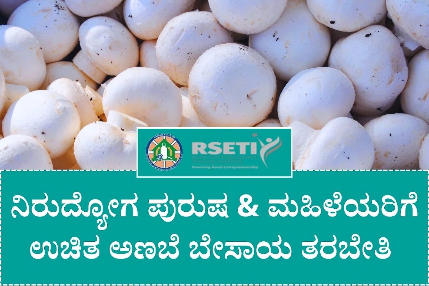 Cbrseti Free Mushroom Farming Training Camp 2026