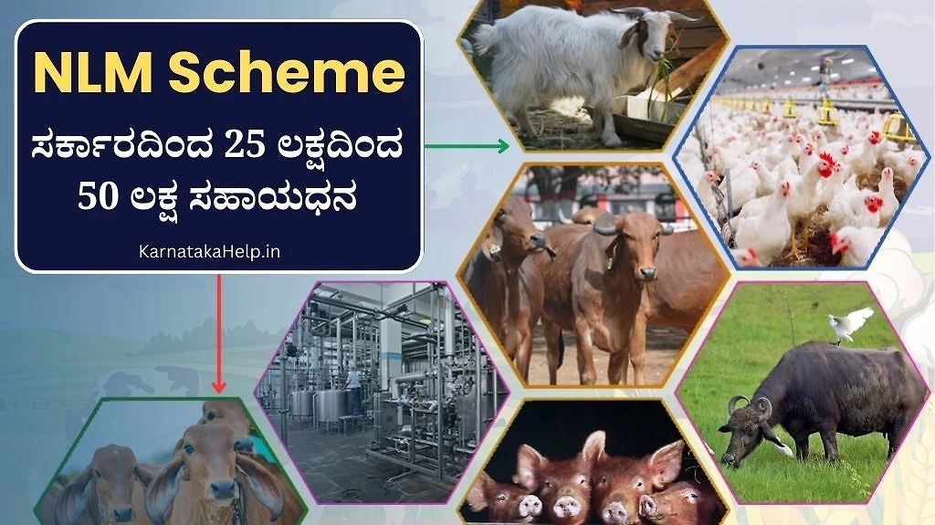 Nlm Scheme Karnataka Online Application 2025