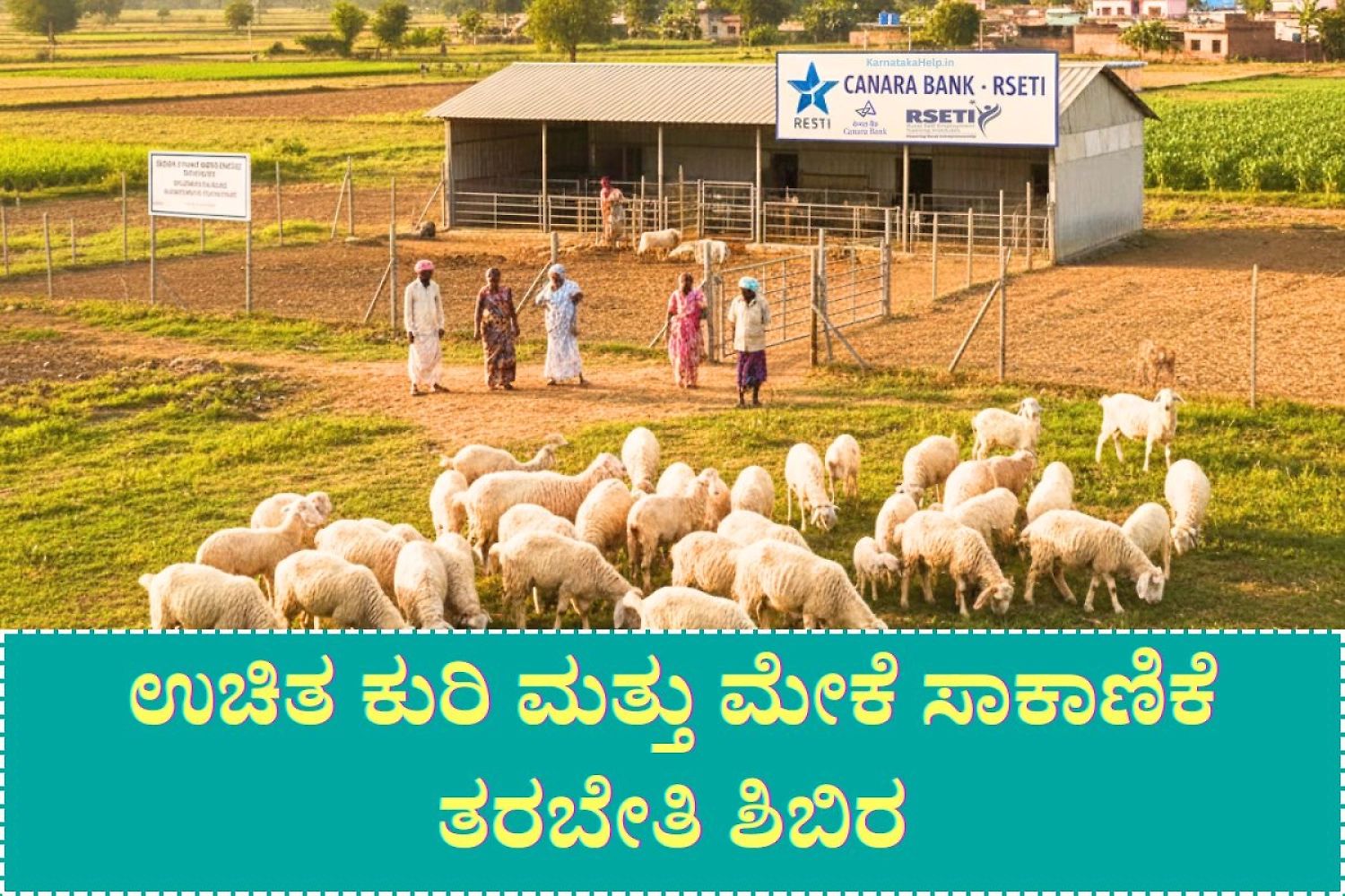 Cbrseti Free Sheep And Goat Farming Training Camp 2026