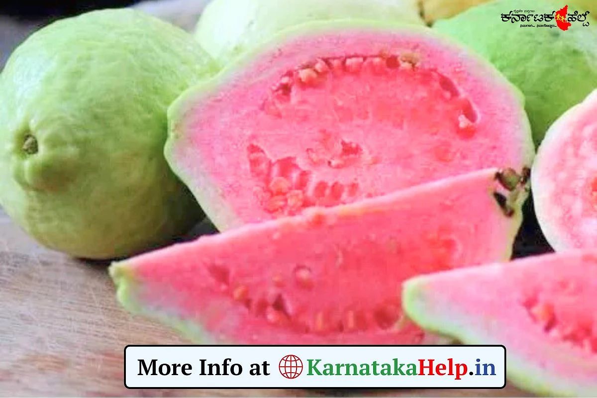 Guava Benefits For Health